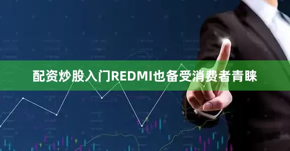 配资炒股入门REDMI也备受消费者青睐