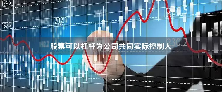 股票可以杠杆为公司共同实际控制人