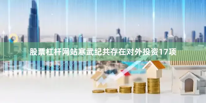 股票杠杆网站寒武纪共存在对外投资17项