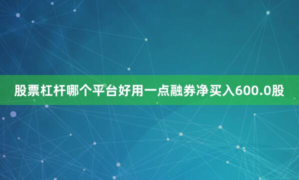 股票杠杆哪个平台好用一点融券净买入600.0股